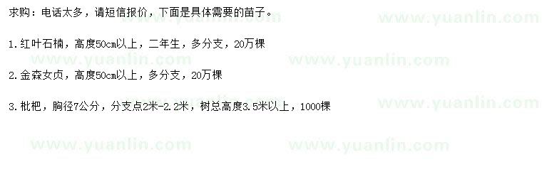 求購紅葉石楠、金森女貞、枇杷