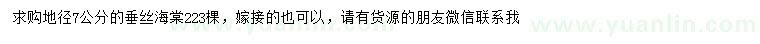 求購地徑7公分垂絲海棠