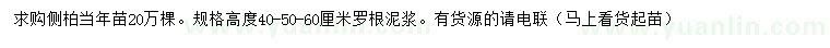 求購(gòu)高40、50、60公分側(cè)柏