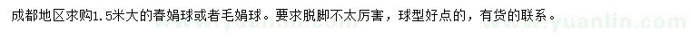 求購1.5米春娟球、毛娟球