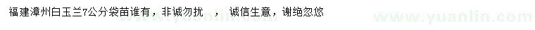 求購(gòu)7公分白玉蘭袋苗
