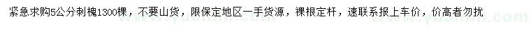 求購5公分刺槐