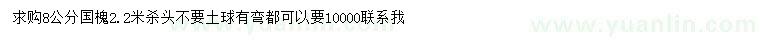 求購8公分國槐