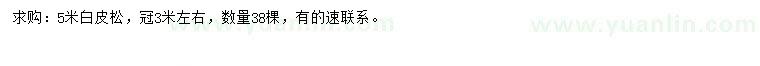 求購5米白皮松