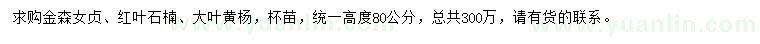 求購(gòu)金森女貞、紅葉石楠、大葉黃楊