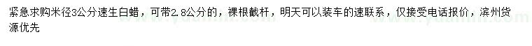 求購米徑3公分速生白蠟