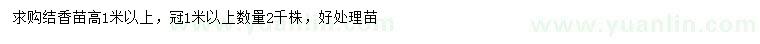 求購1米以上結(jié)香苗