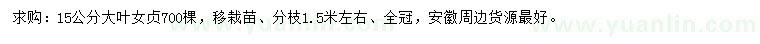 求購15公分大葉女貞