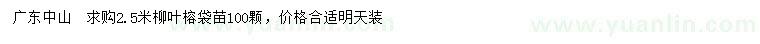 求購2.5米柳葉榕袋苗