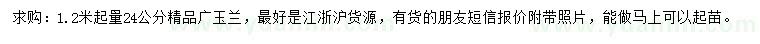 求購1.2米量24公分廣玉蘭
