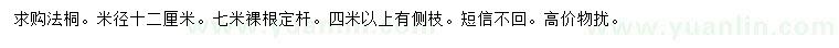 求購米徑12公分法桐