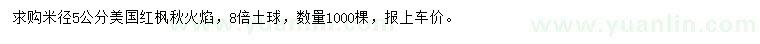求購(gòu)米徑5公分美國(guó)紅楓秋火焰