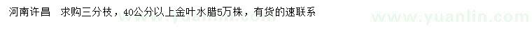 求購40公分以上金葉水臘