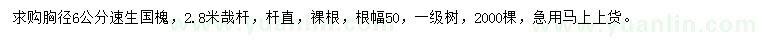 求購胸徑6公分速生國槐
