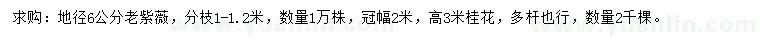 求購地徑6公分紫薇、高3米桂花