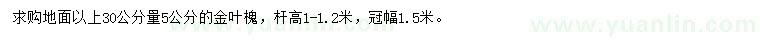 求購(gòu)30公分量5公分金葉槐