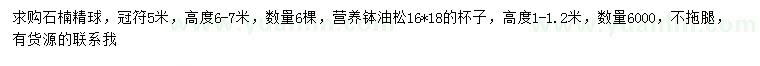 求購高6-7米石楠精球、1-1.2米油松
