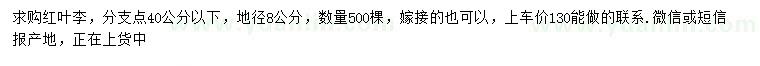 求購(gòu)地徑8公分紅葉李