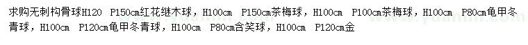 求購無刺構(gòu)骨球、紅花繼木球、茶梅球等