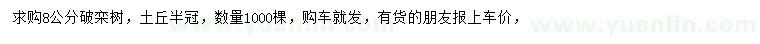 求購8公分欒樹