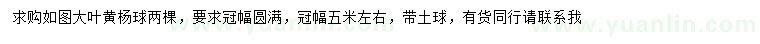 求購冠幅5米左右大葉黃楊球