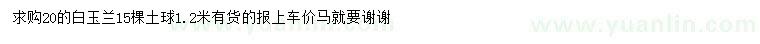 求購20公分白玉蘭
