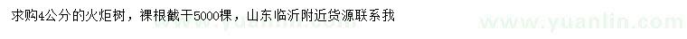 求購4公分火炬樹