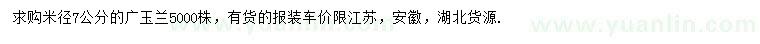 求購米徑7公分廣玉蘭