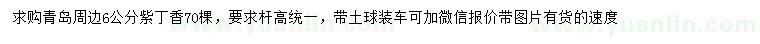 求購6公分紫丁香
