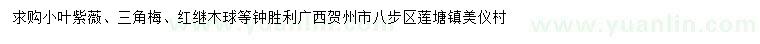 求購小葉紫薇、三角梅、紅繼木球
