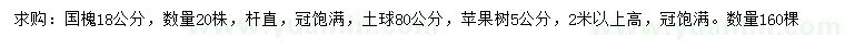求購18公分國槐、5公分蘋(píng)果樹(shù)