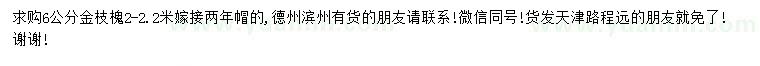 求購6公分金枝槐