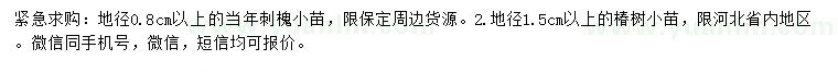 求購地徑0.8公分以上刺槐小苗