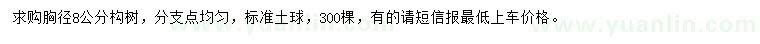 求購胸徑8公分構樹