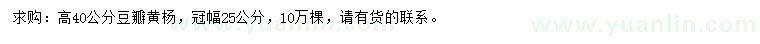 求購(gòu)高40公分豆瓣黃楊