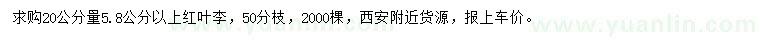 求購20公分量5.8公分以上紅葉李