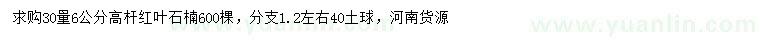 求購30量6公分高桿紅葉石楠