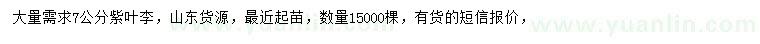 求購(gòu)7公分紫葉李