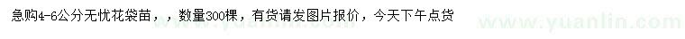 求購4-6公分無憂花