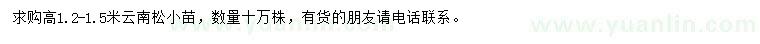 求購(gòu)高1.2-1.5米云南松小苗