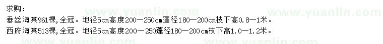 求購地徑5公分垂絲海棠、西府海棠