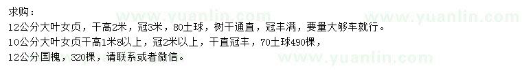 求購10、12公分大葉女貞、12公分國槐