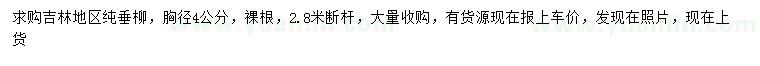 求購(gòu)胸徑4公分垂柳