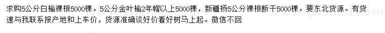 求購白榆、金葉榆、新疆楊