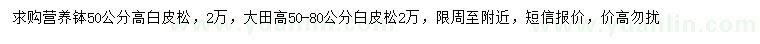求購(gòu)高50公分白皮松、高50-80公分白皮松