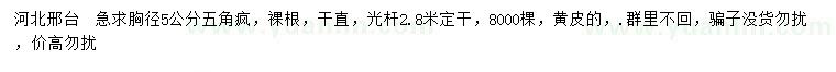 求購(gòu)胸徑5公分五角楓