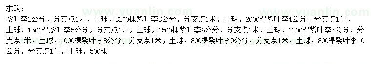求購2、3、4、5、6、7、8、9、10公分紫葉李