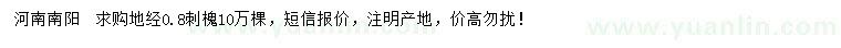 求購地徑0.8公分刺槐