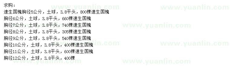 求購胸徑5、6、7、8、9、10、11、12公分速生國槐
