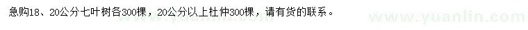 求購(gòu)18、20公分七葉樹(shù)、20公分以上杜仲